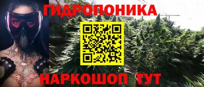 ПСИЛОЦИБИНОВЫЕ ГРИБЫ Ипатово
