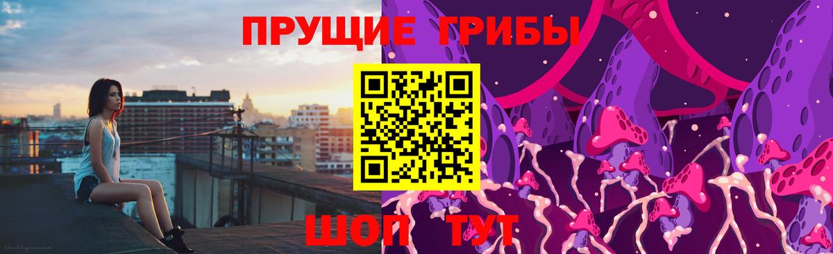 Галлюциногенные грибы Psilocybe  Галлюциногенные грибы ЛСД  Вход с VPN  где купить наркоту  Егорьевск 