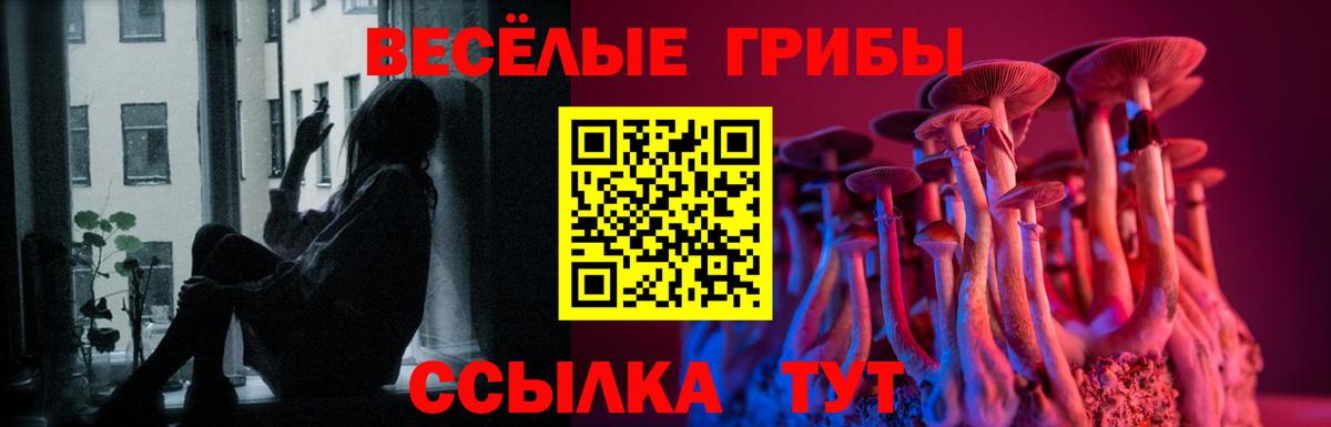 Псилоцибиновые грибы GOLDEN TEACHER Егорьевск